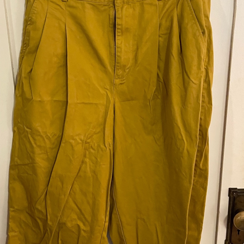 Madewell pleated wide-leg pants